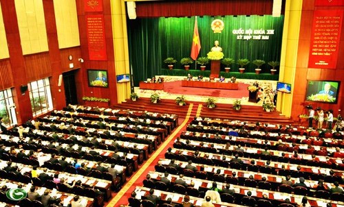 越南国会代表建议取消注册保留越南国籍的规定 - ảnh 1