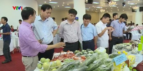 第一次越南无公害农产品鉴别周在河内举行 - ảnh 1