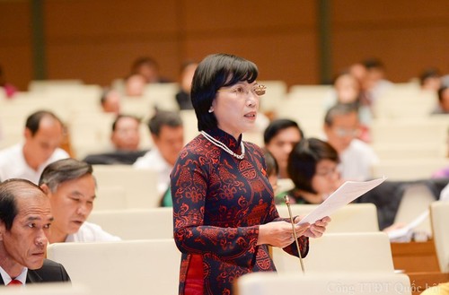 越南国会讨论《外贸管理法（草案）》 - ảnh 1