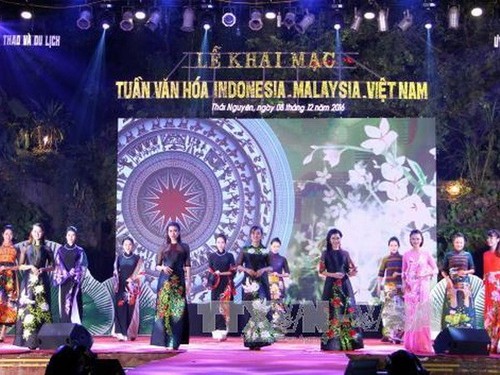 越南-马来西亚-印度尼西亚文化周开幕 - ảnh 1