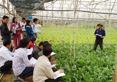 越南农业：明确挑战促增长 - ảnh 2