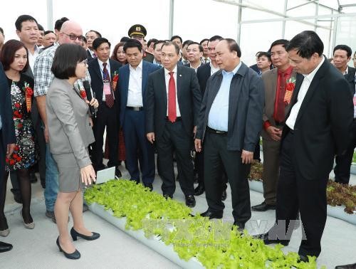 阮春福：直接向国际市场推介越南农产品 - ảnh 1