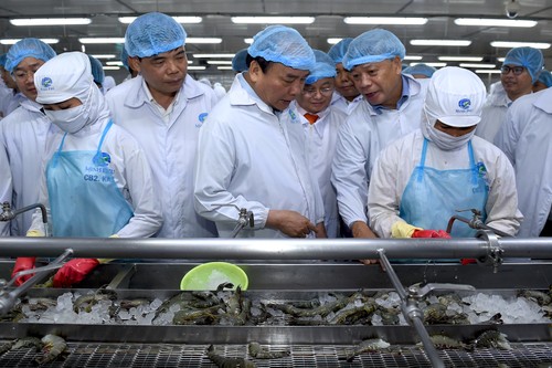 阮春福：2025年越南虾出口力争达100亿美元 - ảnh 2