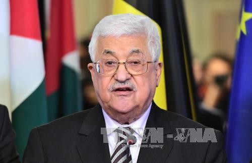 巴勒斯坦总统阿巴斯开始访问埃及 - ảnh 1
