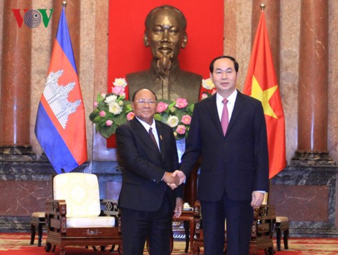 陈大光会见柬埔寨国会主席韩桑林 - ảnh 1