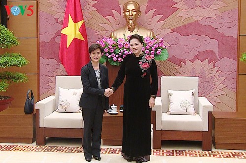 越南国会主席阮氏金银会见新加坡驻越大使凯瑟琳•王 - ảnh 1