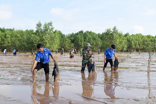 越南青年在保护环境和应对气候变化中发挥先锋作用 - ảnh 1