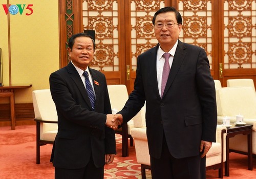 越南国会副主席杜伯巳访问中国 - ảnh 1