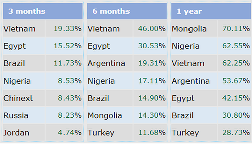 越南证券市场表现居世界第一 - ảnh 1