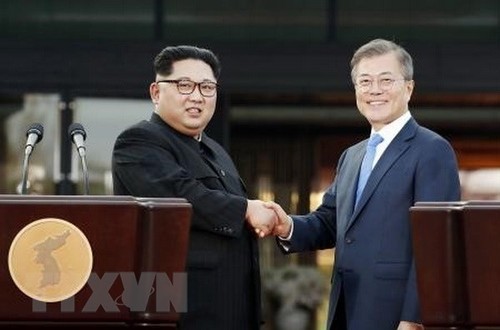 韩国和俄罗斯支持与朝鲜的三边合作机制 - ảnh 1