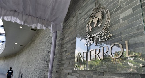 មហាសន្និបាត Interpol លើកទី៨៧ បានរៀបចំកិច្ចប្រជុំដើម្បីជ្រើសតាំងប្រធានថ្មី - ảnh 1