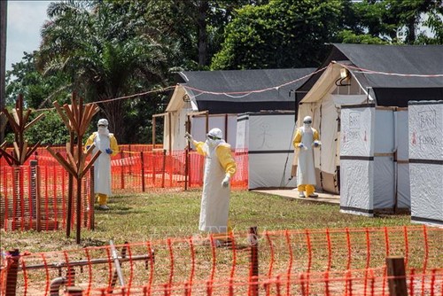 WHO បានប្រកាសថា ការរាតត្បាតអេបូឡា (Ebola) គឺជាបញ្ហាសុខាភិបាលជា បន្ទាន់នៅលើសកលលោក - ảnh 1