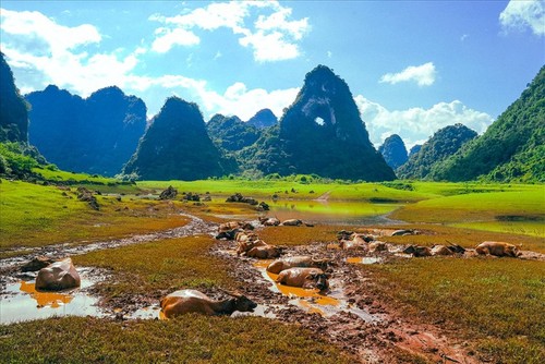 La belleza de la montaña “Ojo divino” en Cao Bang - ảnh 3