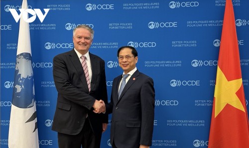 OECD ប្តេជ្ញារួមដំណើរជាមួយវៀតណាមផ្លាស់ប្ដូរថ្មីកំណើន - ảnh 1