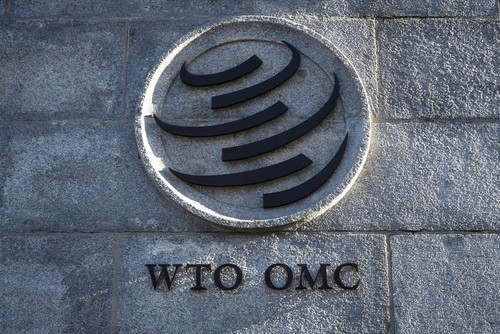 បើកសន្និសីទថ្នាក់រដ្ឋមន្ត្រី WTO លើកទី១៣ - ảnh 1