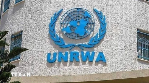 EU ដាស់តឿន​សហគមន៍អន្តរជាតិឲ្យ​ផ្តល់មូលនិធិ​​​​ដល់ UNRWA - ảnh 1