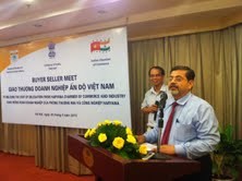 Giao thương doanh nghiệp Việt Nam-Ấn Độ - ảnh 1