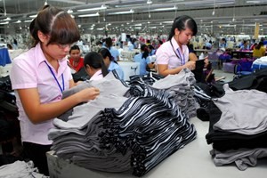Trao đổi thương mại Việt Nam - Nam Phi tiếp tục tăng trưởng  - ảnh 1