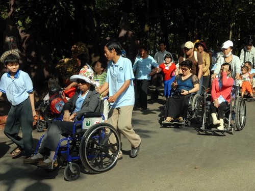 Năm 2014, Việt Nam dự kiến hoàn thành thủ tục phê chuẩn Công ước về quyền của người khuyết tật  - ảnh 1
