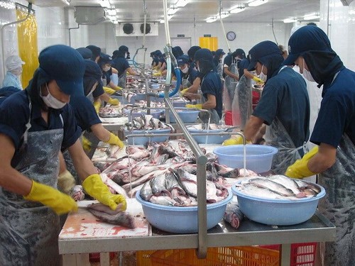 Chính sách bảo hộ nông nghiệp của Mỹ gây khó cho xuất khẩu cá tra của Việt Nam - ảnh 1