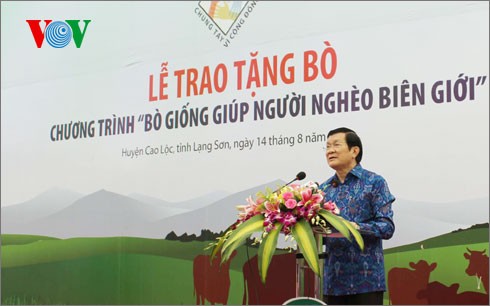 Chủ tịch nước Trương Tấn Sang dự lễ trao tặng bò giống cho người nghèo - ảnh 1
