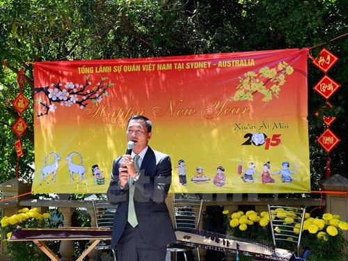 Hoạt động mừng Xuân Ất Mùi của người Việt Nam tại Israel, Australia và Nam Phi - ảnh 1