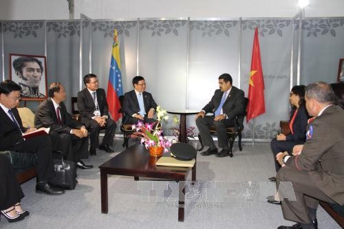 Phó Thủ tướng Phạm Bình Minh gặp Tổng thống Venezuela và Ngoại trưởng Iraq  - ảnh 1