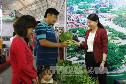 Lần đầu tiên Thái Nguyên tổ chức hội chợ, triển lãm “Mỗi xã, phường một sản phẩm” - ảnh 1
