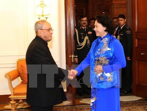 Chủ tịch Quốc hội Nguyễn Thị Kim Ngân hội kiến Tổng thống Ấn Độ Pranab Mukherjee - ảnh 1