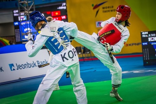 Taekwondo Việt Nam giành huy chương bạc tại giải vô địch thế giới - ảnh 1