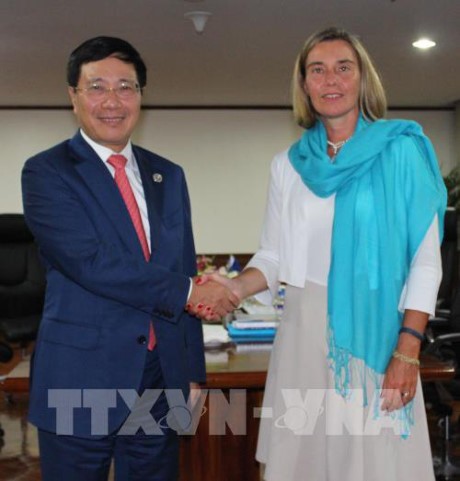 Việt Nam tăng cường hợp tác với các quốc gia và EU - ảnh 1