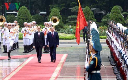 Việt Nam – Ai Cập nhất trí thúc đẩy hợp tác cùng có lợi   - ảnh 1