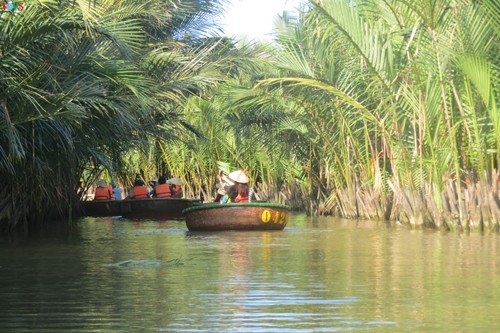 Phát triển du lịch sinh thái thân thiện tại khu du lịch rừng dừa Bảy Mẫu - ảnh 1