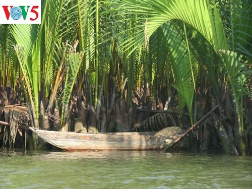 Phát triển du lịch sinh thái thân thiện tại khu du lịch rừng dừa Bảy Mẫu - ảnh 5