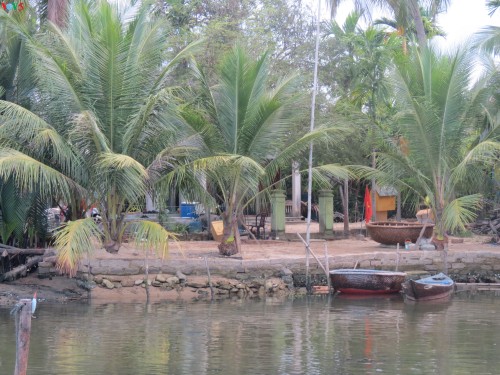 Phát triển du lịch sinh thái thân thiện tại khu du lịch rừng dừa Bảy Mẫu - ảnh 7