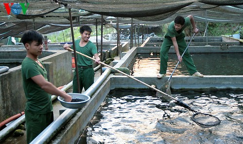 Khai mạc Triển lãm quốc tế về ngành nuôi trồng thủy sản Aquaculture Việt Nam 2017 - ảnh 1