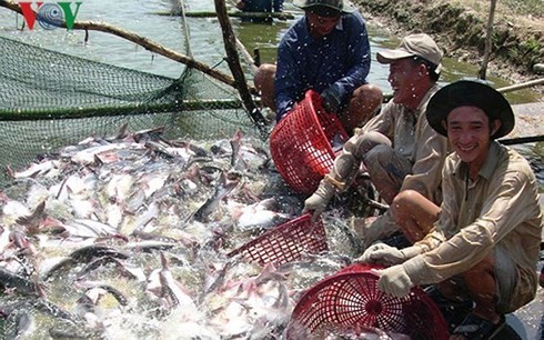 Kết luận áp thuế của Hoa Kỳ đối với cá tra fillet đông lạnh của Việt Nam là không có cơ sở - ảnh 1