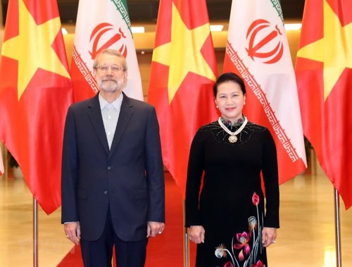 Động lực mới cho quan hệ Việt Nam - Iran - ảnh 2