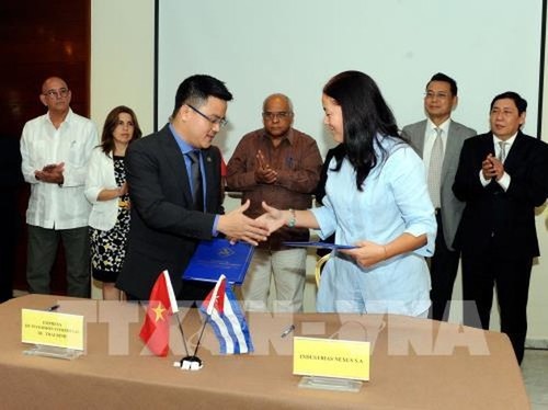 Doanh nghiệp Việt Nam và Cuba ký nhiều thỏa thuận thương mại - ảnh 1