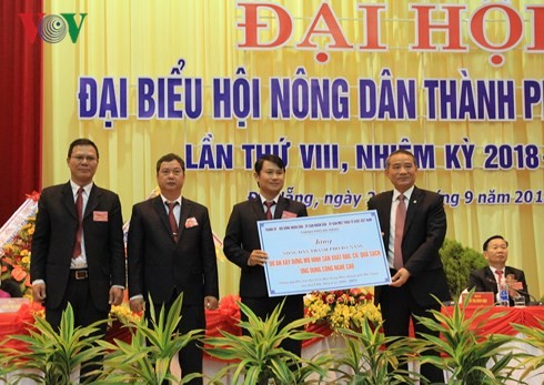Đà Nẵng: Hơn 10 tỷ đồng hỗ trợ nông dân xây dựng mô hình  sản xuất rau củ quả sạch ứng dụng công nghệ cao - ảnh 1
