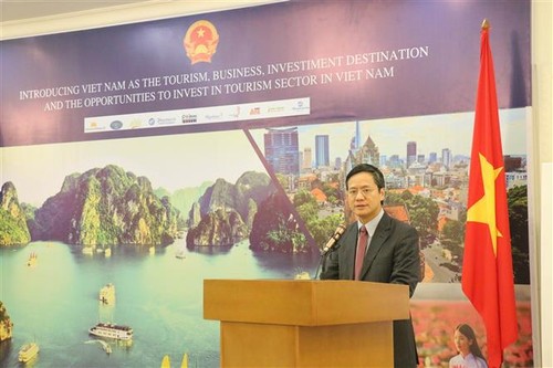 Đại sứ Phạm Vinh Quang: Việt Nam coi trọng các thể chế đa phương toàn cầu - ảnh 1