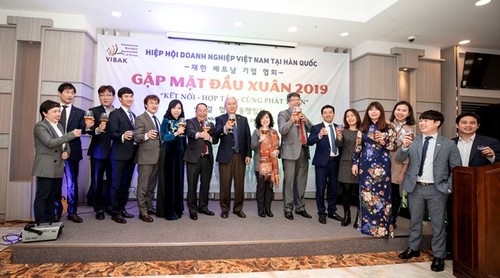 Chương trình gặp gỡ đầu xuân 2019 của Hiệp hội Doanh nghiệp Việt Nam tại Hàn Quốc - ảnh 4