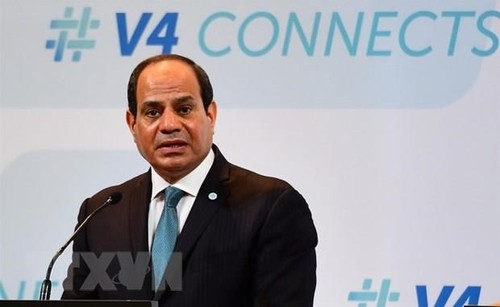 Ai Cập tin tưởng vào mối quan hệ hợp tác với Việt Nam - ảnh 1