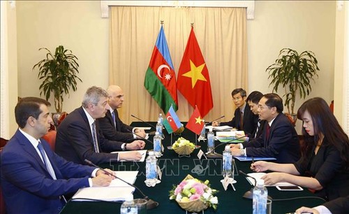 Tham vấn chính trị giữa Việt Nam và Azerbaijan - ảnh 1