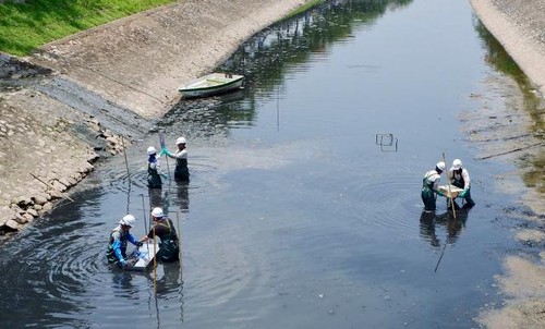 Cải thiện môi trường sinh thái cho dòng sông cổ Tô Lịch - ảnh 4
