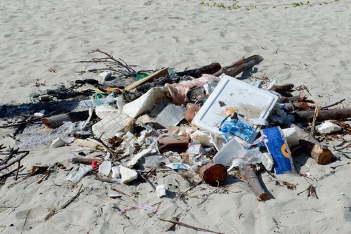 Chung tay nhặt rác làm sạch môi trường biển Quảng Ngãi - ảnh 3