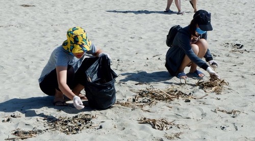 Chung tay nhặt rác làm sạch môi trường biển Quảng Ngãi - ảnh 5