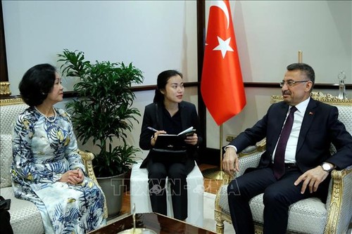 Việt Nam coi trọng việc thúc đẩy quan hệ hợp tác nhiều mặt với Thổ Nhĩ Kỳ - ảnh 1