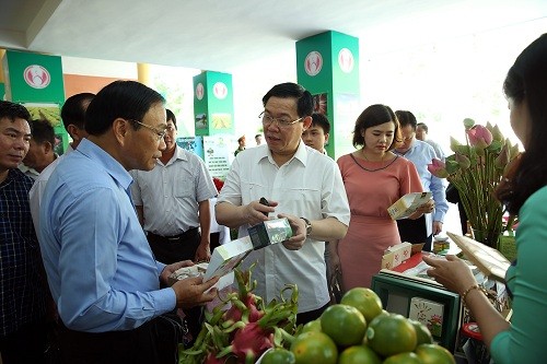 Phó Thủ tướng Vương Đình Huệ dự hội nghị TK 10 năm Nông thôn mới vùng ĐNB và ĐBSCL - ảnh 1
