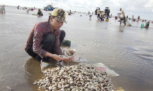 Việt Nam xuất khẩu thêm 3 loại thủy sản vào Trung Quốc - ảnh 1